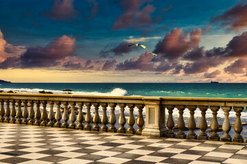 Canvas Print - Terrazza Mascagni Livorno