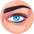 Human Eye with Blue Iris and Eyelashes as Sense Organ with Brow Closeup View