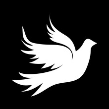 White Dove Of Peace. Vector Illustration On A Black Background