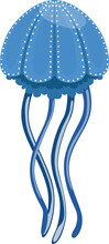 Blue Jellyfish Or Sea Jelly With Umbrella-shaped Bell And Trailing Tentacles