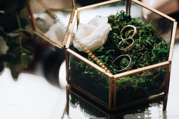 Poster - Wedding accessories. Golden wedding rings in a glass box on green moss