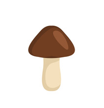 Illustration Of An Isolated Mushroom On A White Background. The Concept Of Proper Nutrition. Printing On Dishes, Children's Clothing, Textiles.
