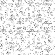 A Set Of Seamless Backgrounds With Leaves, Flowers And Flower Bud. Line Drawing. Lines Have Different Widths. Black White. Roses, Vector Grafic, 1000x1000
