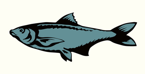 Canvas Print - Big sea fish. Vector drawing
