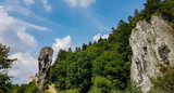 Fototapeta  - A panoramic view on the limestone stack called Hercules bludgeon in the Ojcow National Park near Krakow,Lesser Poland, Poland. Tatra mountains.Rock formation.Jurassic Krakow-Czestochowa.Pieskowa Skala