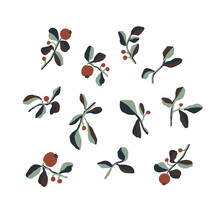 Vector Hand-drawn Red Berry And Leaf Illustration Motif Graphic Resource Digital Artwork