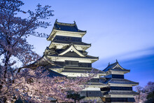 Cherry Blossom Festival At The Matsumoto Castle In Spring,  Nagano Prefecture, Japan