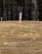 Bright yellow driving range golf balls brighten the brown dead grass of the practice facility at a golf course during off season in Alberta Canada