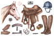 An isolated watercolor brown and black items for a horse grooming and for an equestrian sport, clover flower with four leaves and a four leaf logo,an aquarelle pencil illustration of a horse half-face
