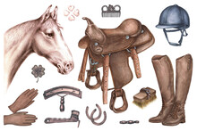 An Isolated Watercolor Brown And Black Items For A Horse Grooming And For An Equestrian Sport, Clover Flower With Four Leaves And A Four Leaf Logo,an Aquarelle Pencil Illustration Of A Horse Half-face