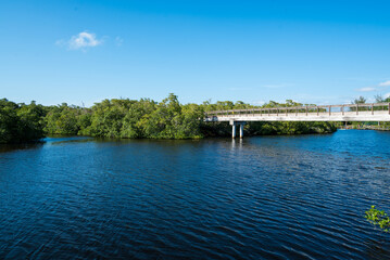 Fototapete - Gordon River Greenway Naples Florida - Bridge View
