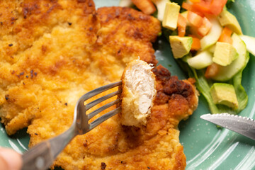 Sticker - Crispy chicken fillets with salad. Healthy food