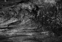 Black White Wood Texture. Old Cracked Wooden Surface. Close-up. Dark Gray Grunge Background For Design.