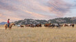 © Terri Cage  - Quarter Horse Mares and Foals