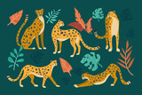 Fototapeta Dinusie - Cheetahs in different poses cartoon illustration set. Seamless pattern with leopards or jaguars with tropical leaves and plants isolated on dark green background. Wild animal, cat, jungle concept