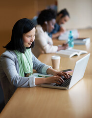 Poster - Working on her assignment. A young woman on a laptop in the library.