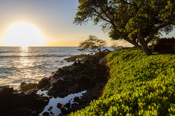 Wall Mural - Kauna'oa (Mauna Kea) Beach, Hawaii Island, Hawaii, USA