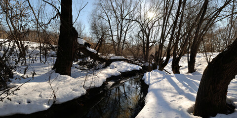 Sticker - Spring walk through the forest, beautiful panorama.