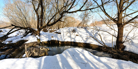 Sticker - Spring walk through the forest, beautiful panorama.