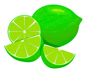 Wall Mural - Ripe juicy green lime and lime slices. Realistic fruit vector illustration isolated on white background.