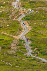 Wall Mural - stairs on a mountain side with people wandering