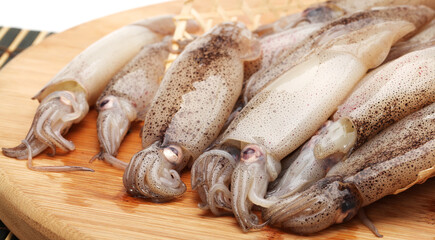 Wall Mural - Fresh squid isolated on white background 