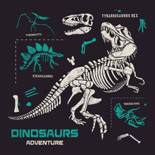 Dinosaurs Fossils And Bones Hand Drawn Vector Illustration 