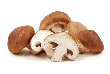 Wall Mural - Shiitake mushroom on the White background 