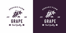 Vintage Grape Fruit Logo Illustration Suitable For Fruit Shop And Fruit Farm