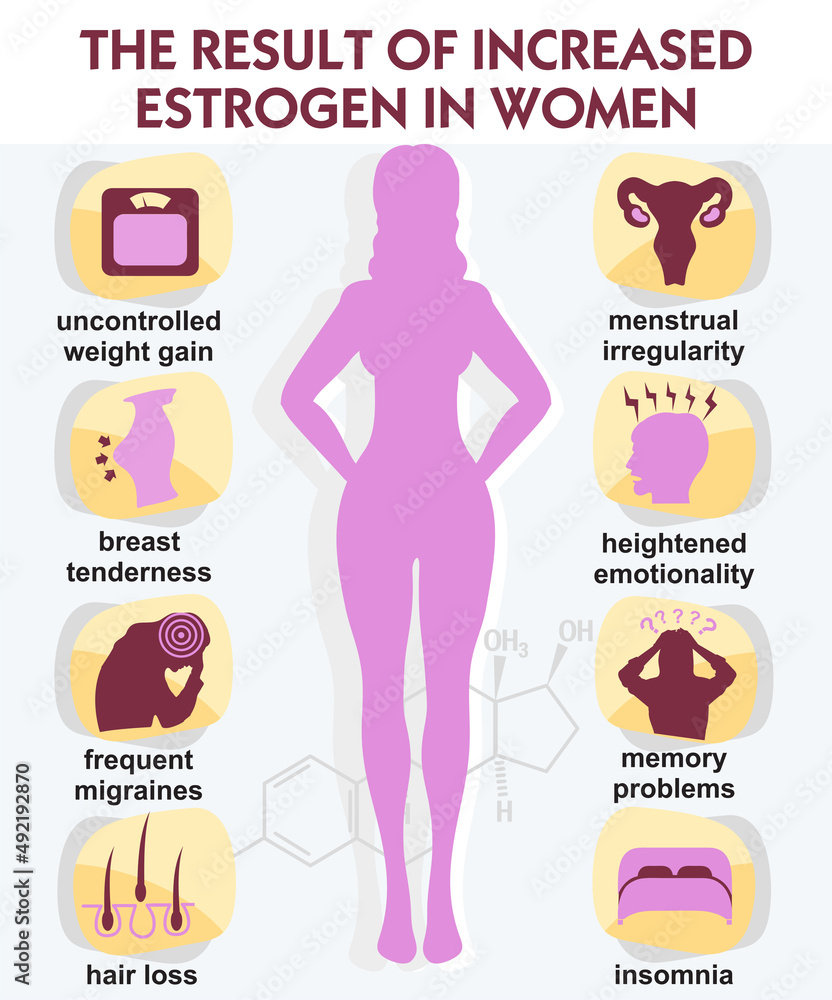 Vetor The result increased estrogen in women Infographic vector  