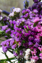 Small Bright Dried Flowers Statice Kermek Purple White Bouquet Vertical