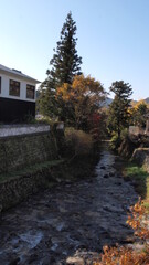 Canvas Print - The Akizuki Castle