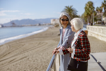 Wall Mural - Happy female friends meeting outdoors by sea