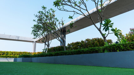 sky garden on private rooftop of condominium or hotel rooftop, high architecture building with tree 