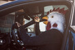 © FotoAndalucia - The happy bird man drives a car and sticks his head out