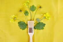 Splash Of Spring Yellow Herbal Flower From Paint Brush On Yellow Background. Sustainable, Cottage Core, Connecting With Nature Concept