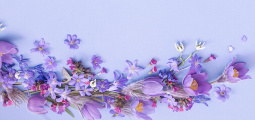 Wall Mural - spring flowers on blue background