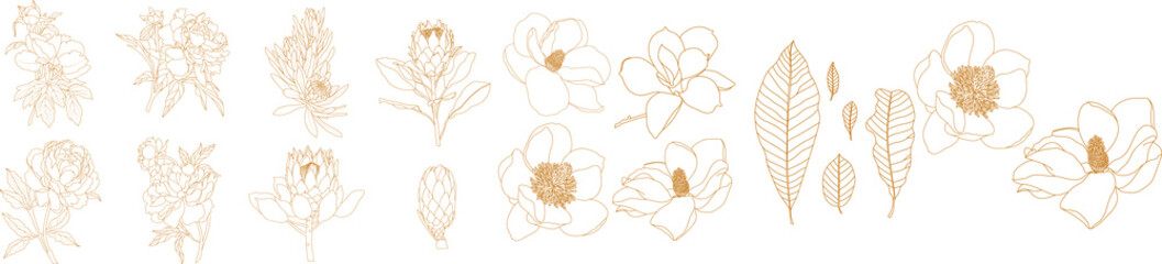 Set of graphical golden hand drawn flowers peony, daisy, magnolia. Vector.