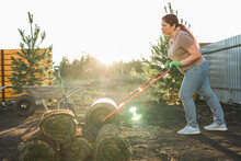 Woman Laying Sod For New Garden Lawn - Turf Laying Concept