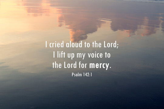 Wall Mural -  - Bible verse inspirational quote - I cried aloud to the Lord, i lift up my voice to the Lord for mercy. Psalm 142:1 With soft light blue abstract background of sky clouds reflection on the water.