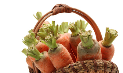 Wall Mural - Fresh carrot on a white background