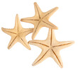© jcsmilly - Seashell starfish top view isolated on white background with clipping path