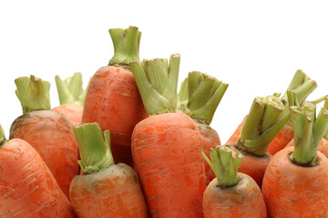 Wall Mural - carrots  isolated on white background