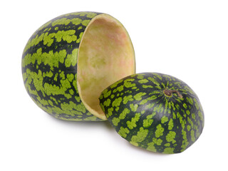 Sticker - Hollow watermelon with empty peel