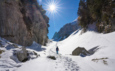 Wall Mural - woman hiking in the snowy mountain landscape of the Alpstein mountain range near Appenzell, Switzerland