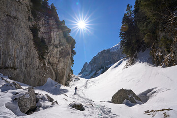 Wall Mural - woman hiking in the snowy mountain landscape of the Alpstein mountain range near Appenzell, Switzerland