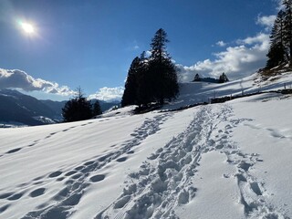 Wonderful winter hiking trails and traces on the slopes of the Alpstein mountain range and in the fresh alpine snow cover of the Swiss Alps - Unterwasser, Switzerland (Schweiz)