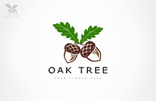 Oak Tree Logo. Acorn  Vector.