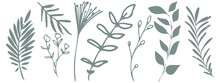 Vector Plants And Grasses. Minimalist Style In Green Colors Of Hand Drawn Plants. With Leaves And Organic Shapes. For Your Own Design.