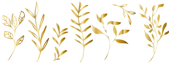 Wall Mural - Vector plants and grasses in gold style with shiny effects. Minimalist style. Hand drawn plants. With leaves and organic shapes. For your own design.